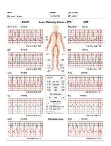 vascular chart