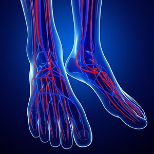 What Are the Symptoms of Poor Circulation?